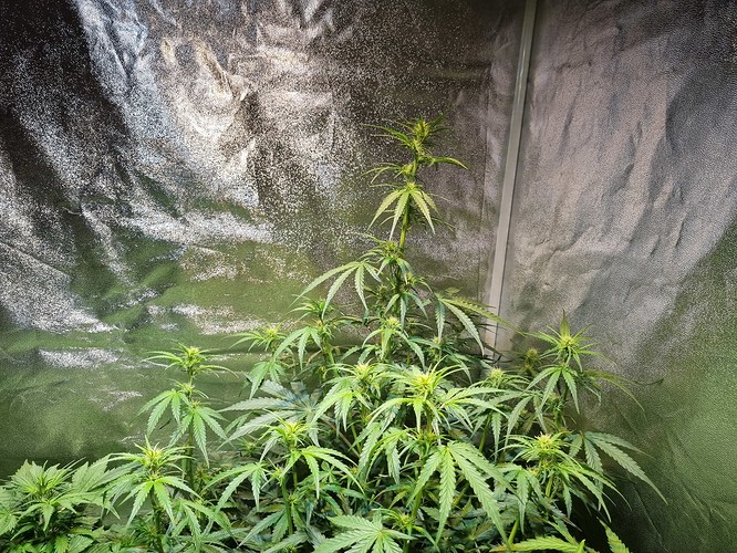 Growreport Bild 26