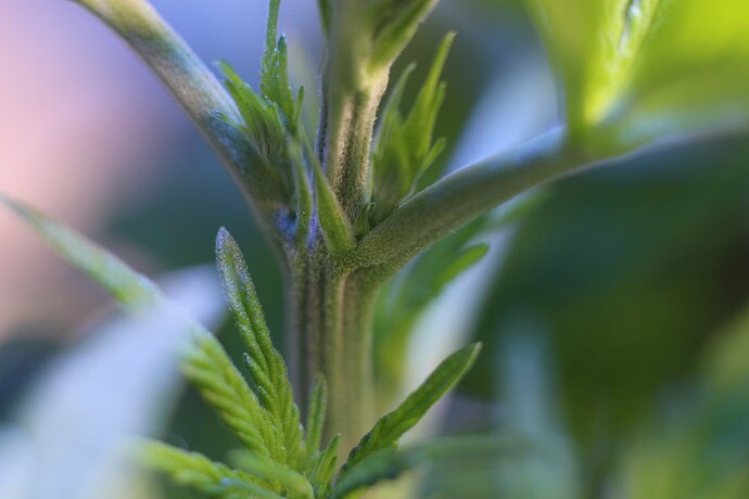 Growreport Bild 25