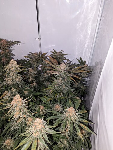 Growreport Bild 24
