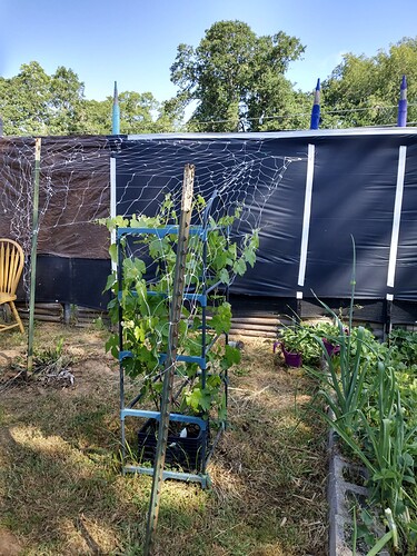 IMG_20230601_094902585_HDR1