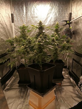 Growreport Bild 10