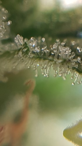 20210214_182158