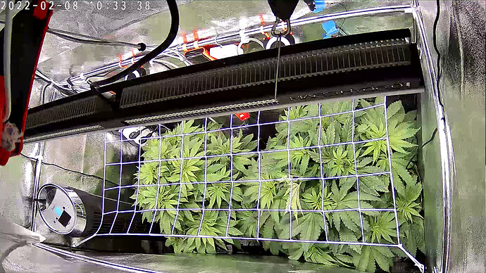 Growreport Bild 1