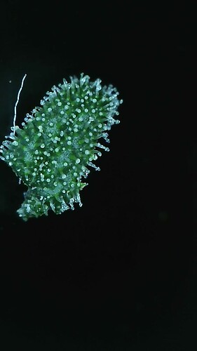 2022_04_01_06_24_40_457