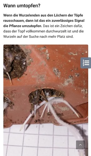 Screenshot_20210802-151535_Chrome