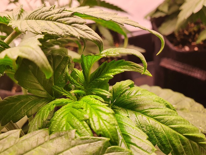 Growreport Bild 11