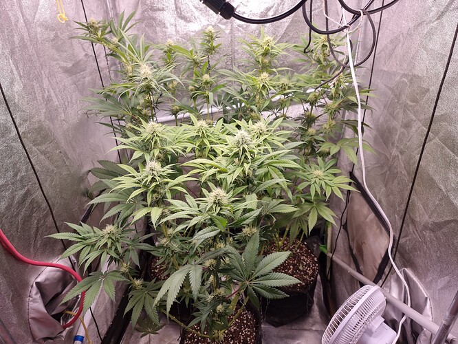 Growreport Bild 11