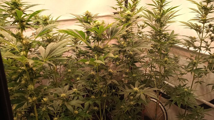 Growreport Bild 14