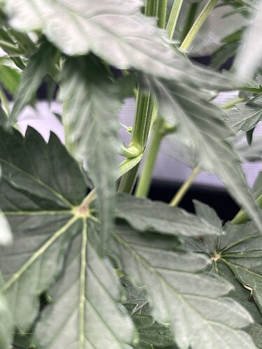 Growreport Bild 23