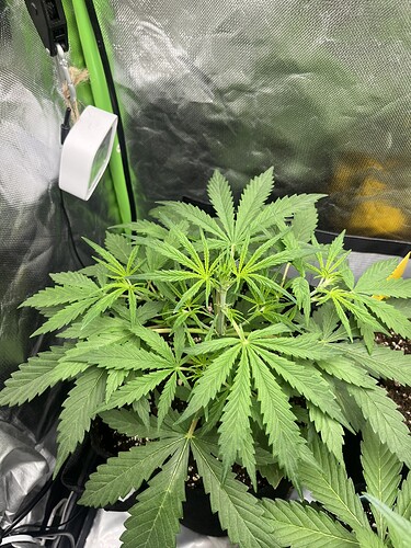 Growreport Bild 5
