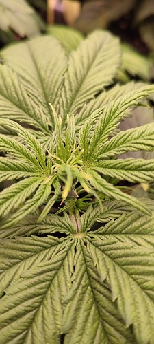 Growreport Bild 1