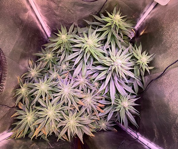 Growreport Bild 18