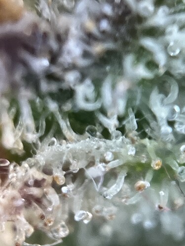 Growreport Bild 22