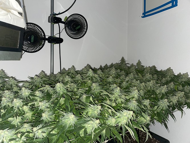 Growreport Bild 14