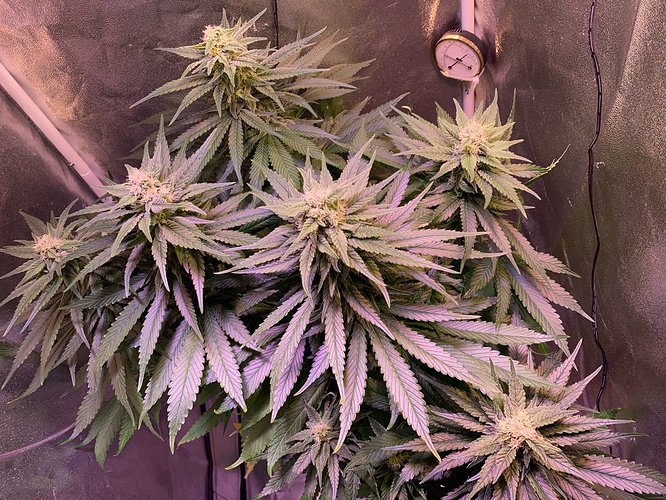 Growreport Bild 10