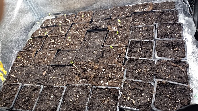 Growreport Bild 2