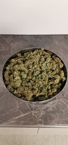 Growreport Bild 17