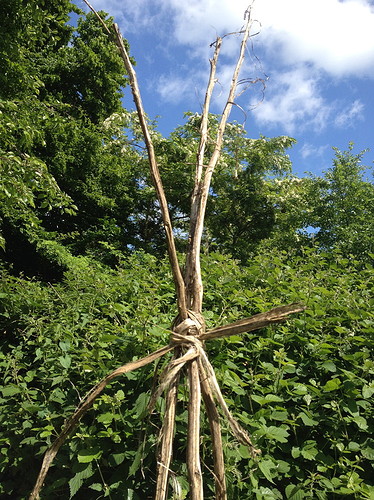 Growreport Bild 12