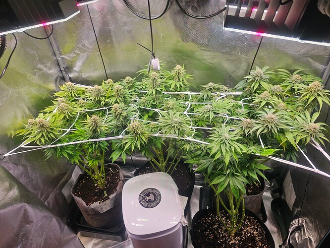 Growreport Bild 7