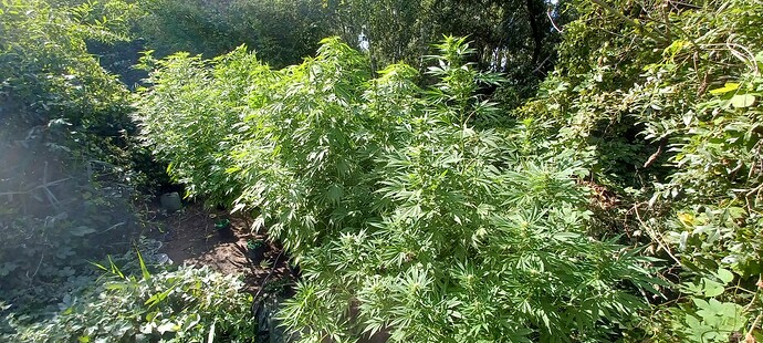 Growreport Bild 2