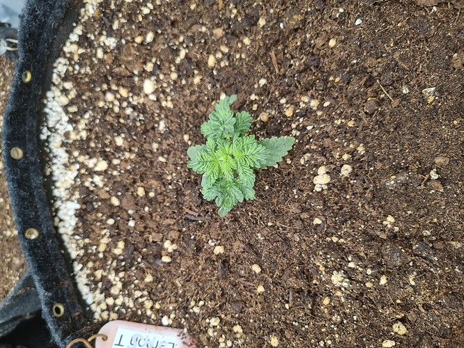 Growreport Bild 9