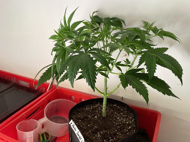 Growreport Bild 10