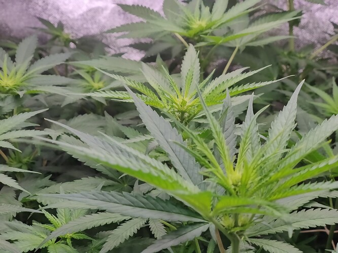 Growreport Bild 16