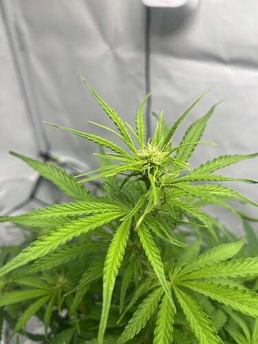 Growreport Bild 18