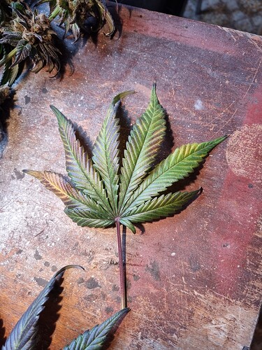 Growreport Bild 23