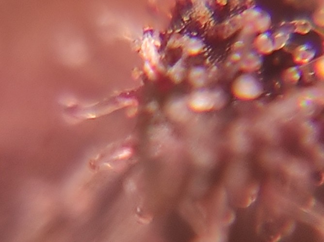 Growreport Bild 19