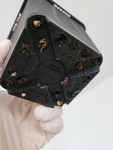 photo_2023-08-08_13-17-36