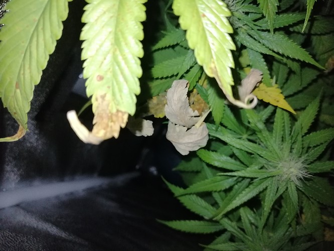 Growreport Bild 5
