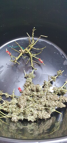 Growreport Bild 10