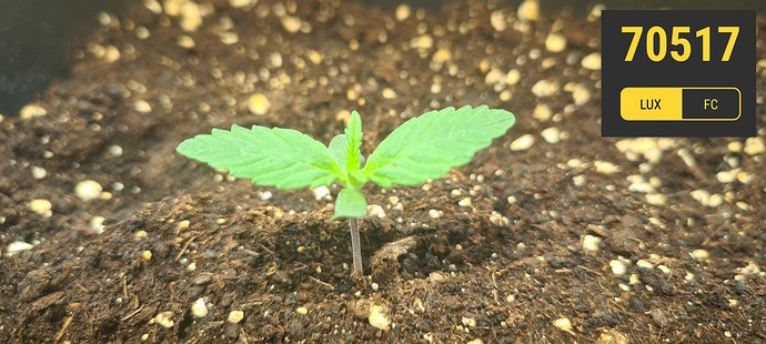 Growreport Bild 8
