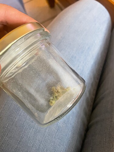 Growreport Bild 3