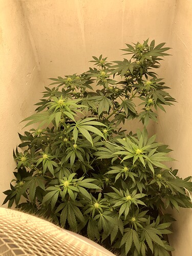 Growreport Bild 11