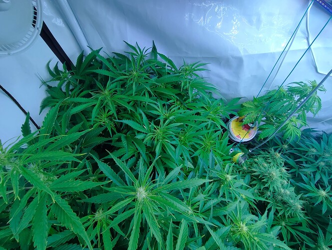 Growreport Bild 12