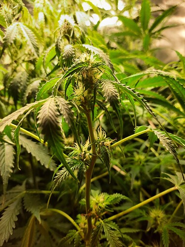 Growreport Bild 11