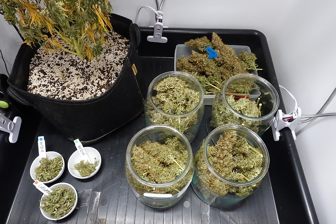 Growreport Bild 5