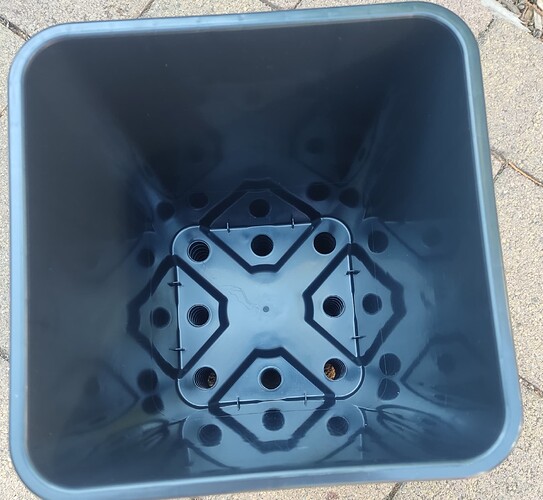 Growreport Bild 4