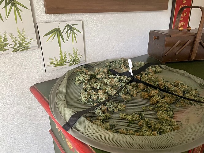 Growreport Bild 22