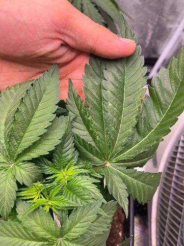 Growreport Bild 5
