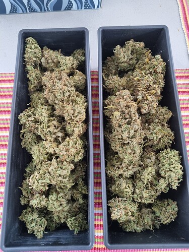 Growreport Bild 8