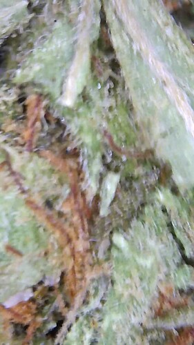Growreport Bild 23