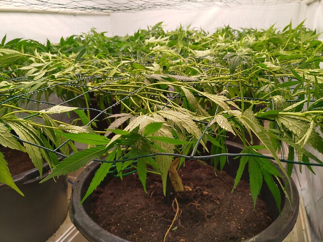Growreport Bild 10