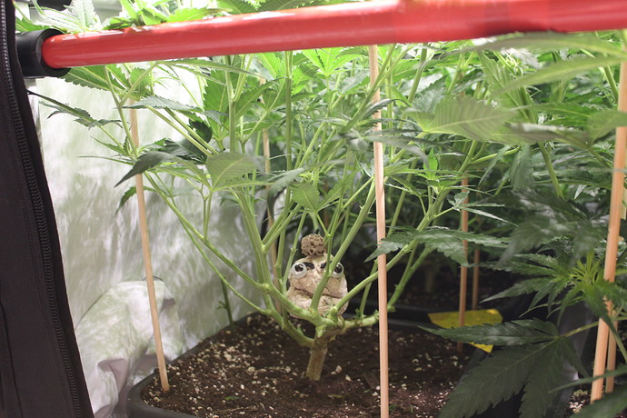 Growreport Bild 7