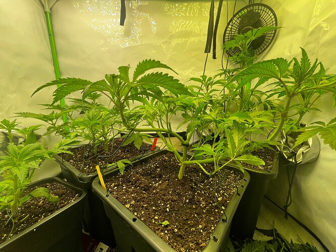Growreport Bild 20