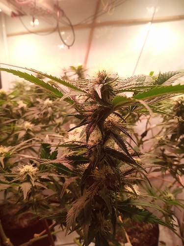 IMG_20210314_002357_593