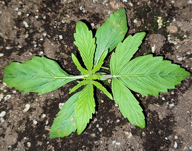 Growreport Bild 19
