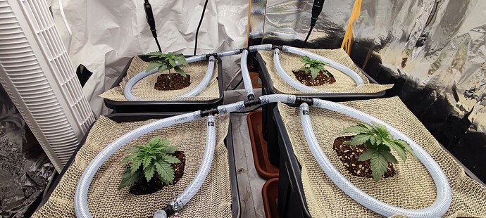 Growreport Bild 5